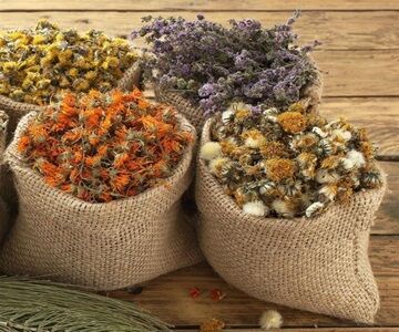 Фіточаї та лікарські рослини