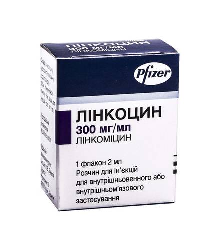 Лінкоцин розчин для ін'єкцій 300 мг/мл 2 мл 1 флакон