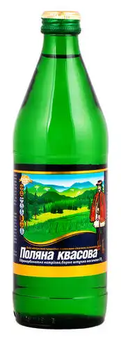 Поляна Квасова Вода мінеральна лікувально-столова сильногазована 0,5 л 1 пляшка