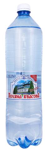 Поляна Квасова Вода мінеральна сильногазована 1,5 л 1 пляшка