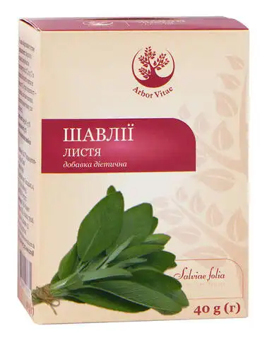 Arbor Vitae Шавлії листя 40 г 1 пачка