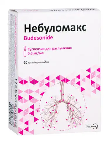 Небуломакс суспензія для розпилення 0,5 мг/мл 2 мл 20 контейнерів