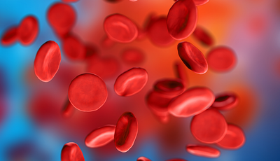 «Коли крові забагато»: що робити, якщо підвищені еритроцити?
